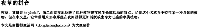 夜草的拼音