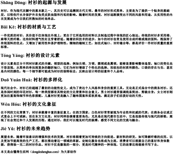 衬衫的拼音.docx免费下载(word版可打印)