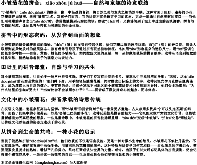 小皱菊花的拼音.docx免费下载(word版可打印)